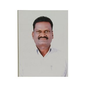 Chinnarigandla Bala Chennaiah NOTA Ears of corn