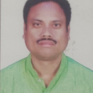 PARTHA PRATIM RAY