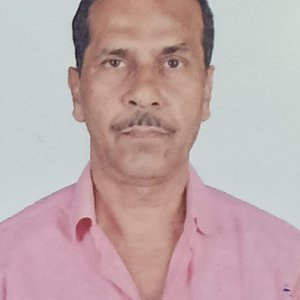 MADHUSUDAN ROY