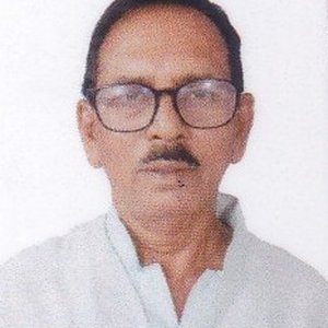 DINEN ROY